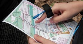Orienteerumise neljapäevakud
