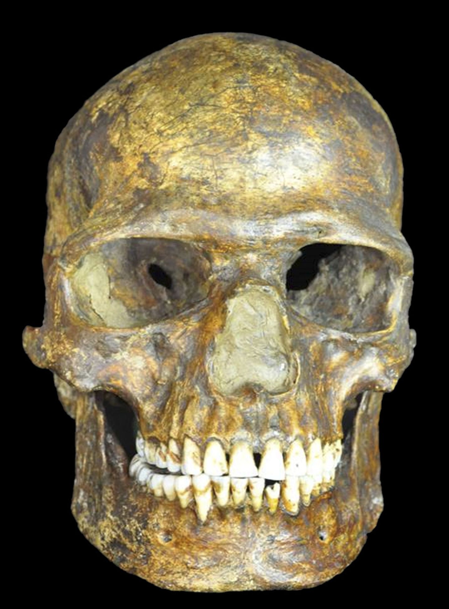 37 000 aasta eest elanud Kostenki mehe pärilikkusaine kinnitab, et nüüdisinimesed heitsid neandertallastega ühte umbes 55 000 aastat tagasi. Säilmed leiti 1954. aastal Musta mere lähedal asuvast Kostenki-Borshševo leiupaigast.