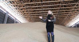 Bumper crop expected