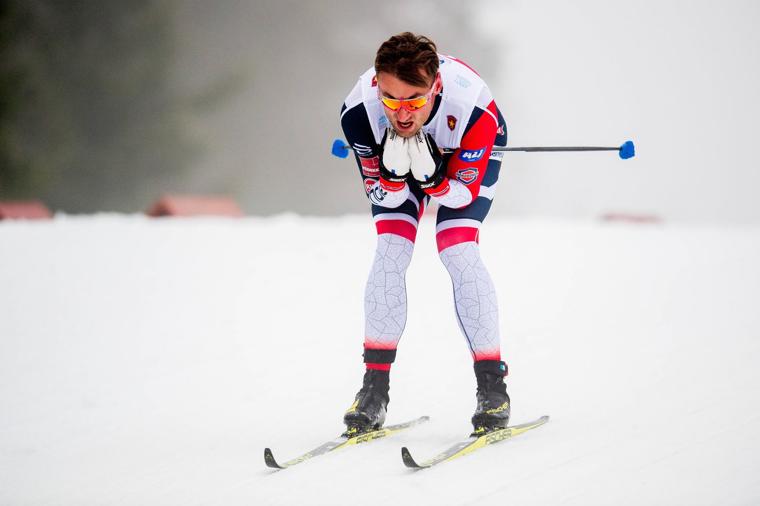 Petter Northug jr.
