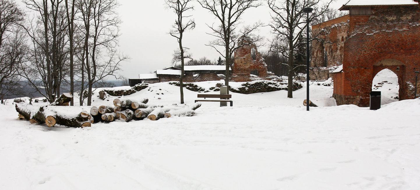 Riigi kogukamad toetused on läinud Viljandimaa parkide hooldamiseks.