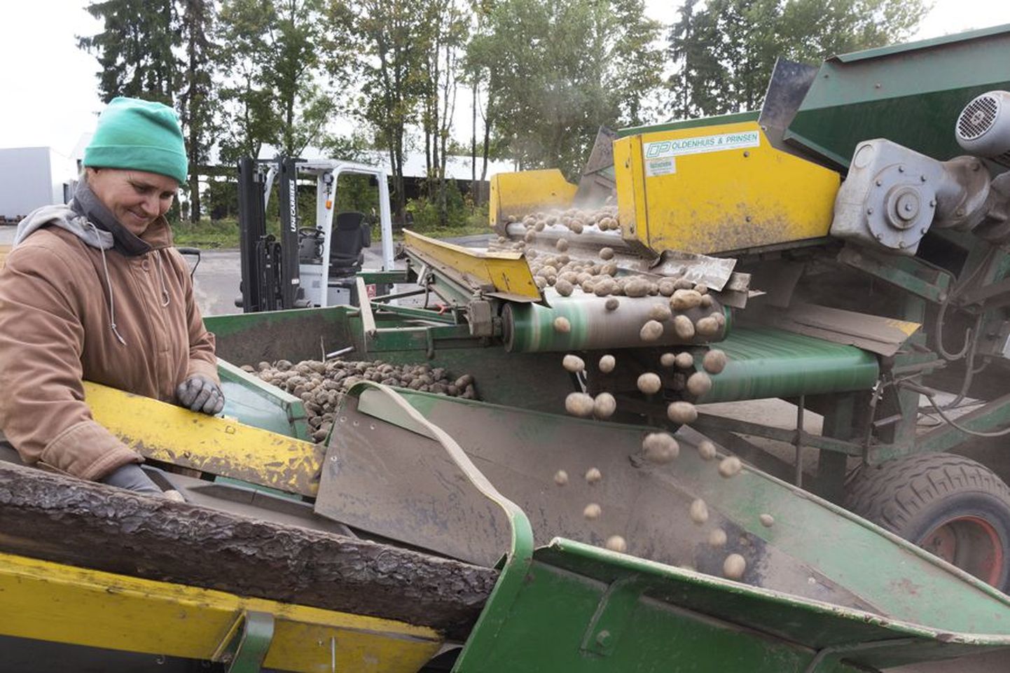 Koorti Kartuli töötaja Rita Kask on ametis kartulipakendamise liini juures.