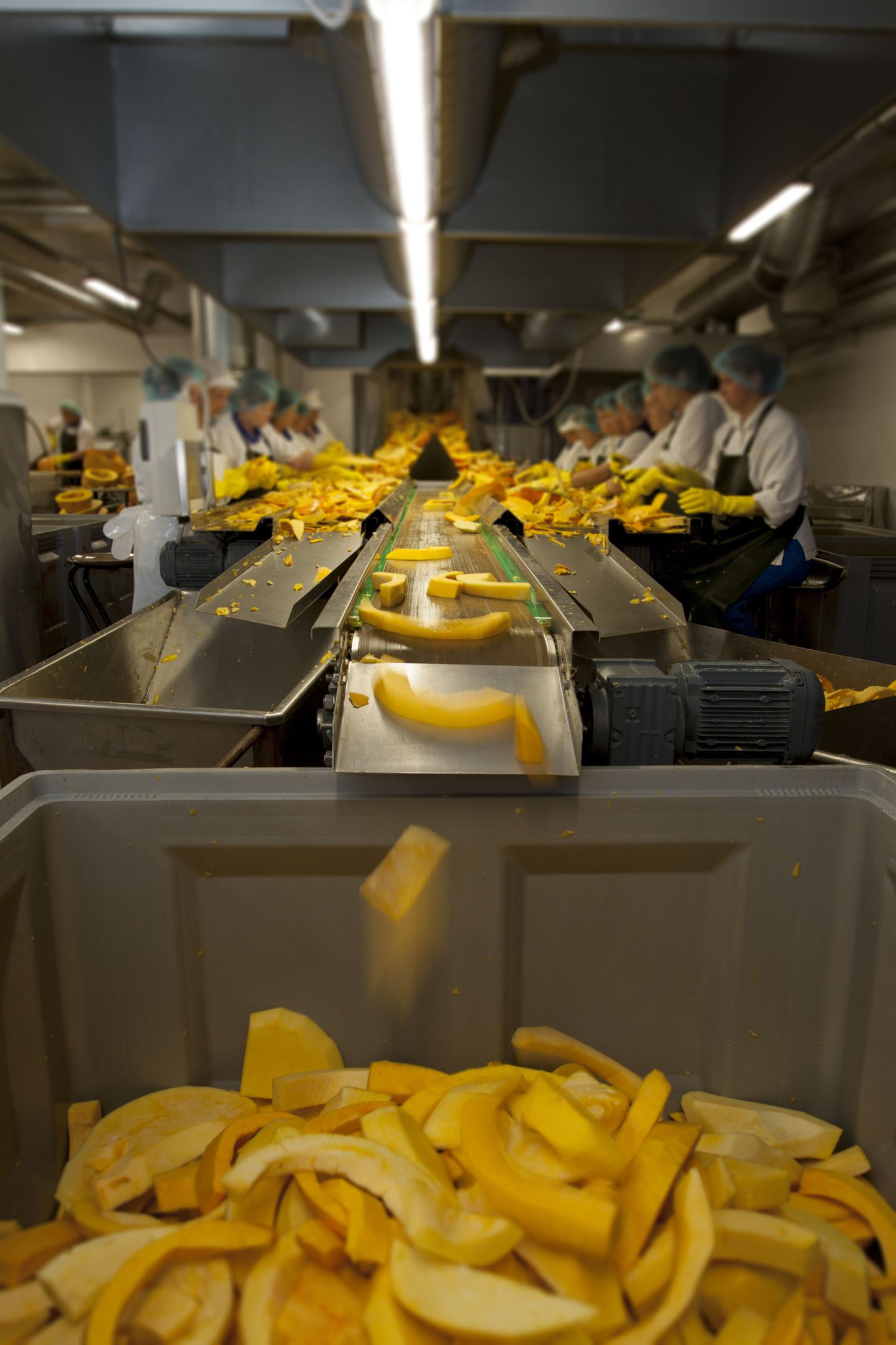 Salvesti toiduainetööstus varus sel aastal 60 tonni kõrvitsat, millest valmib üle 107 000 purgi kõrvitsasalatit.