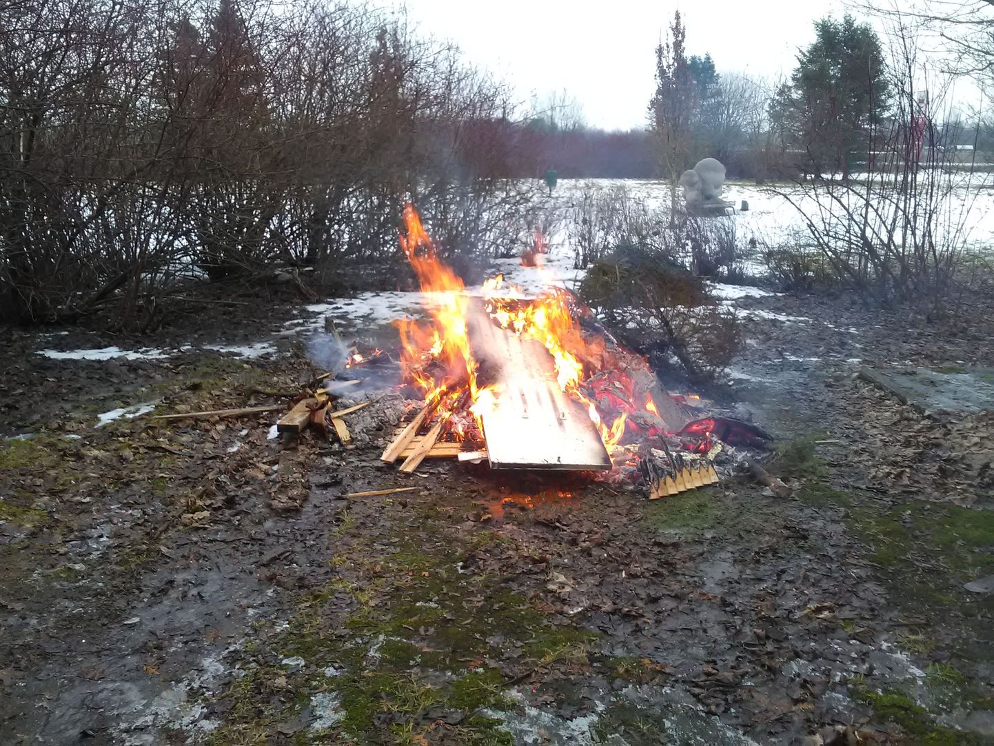 Päästjad avastasid Põltsamaal järelvalveta lõkke.