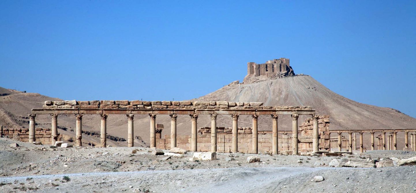 Tadmuri (Palmyra) linn ajaloolised varemed