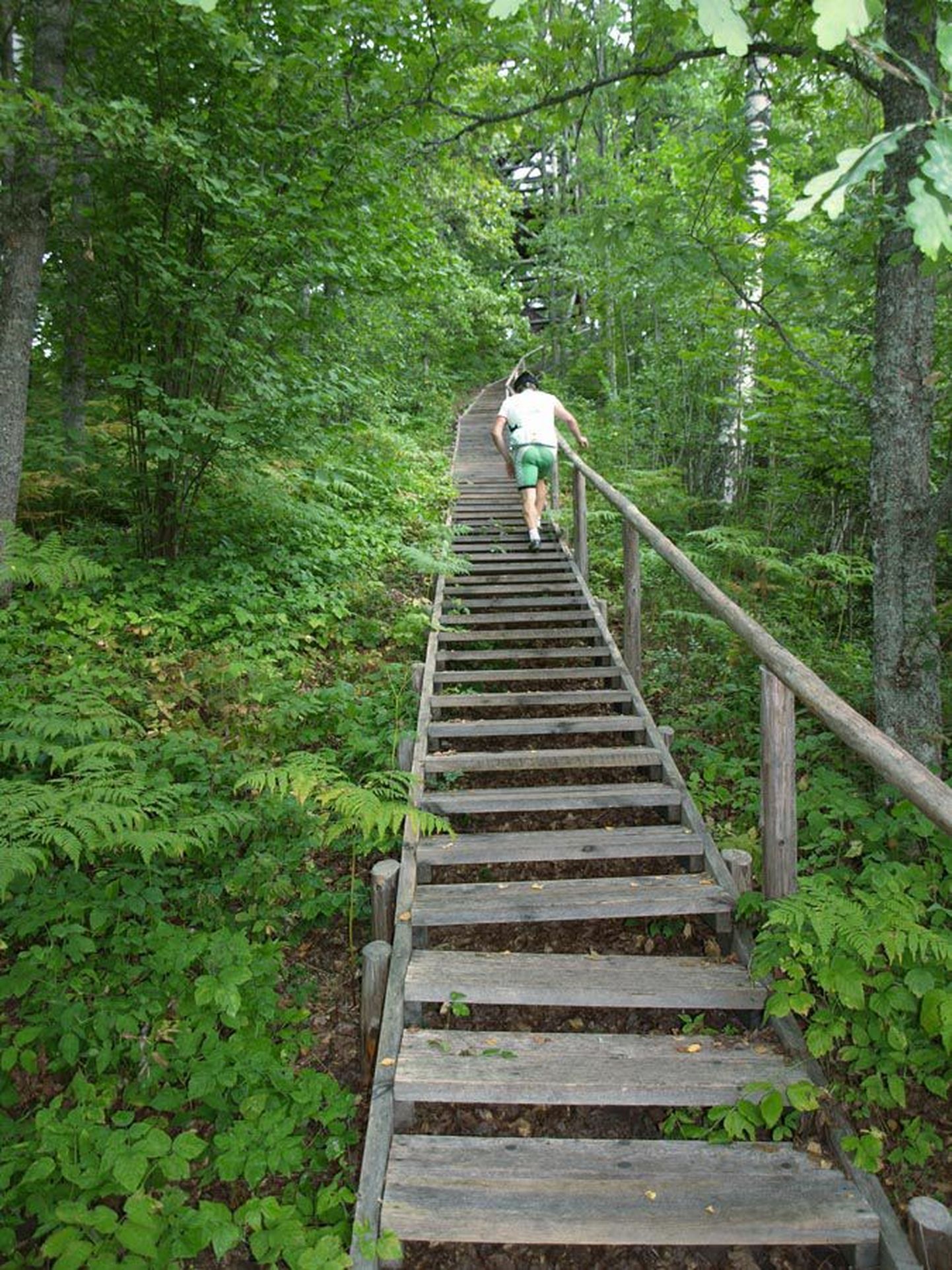 Trepist kõndimine annab hea koormuse, kaunis looduses lisaks ka esteetilise elamuse.