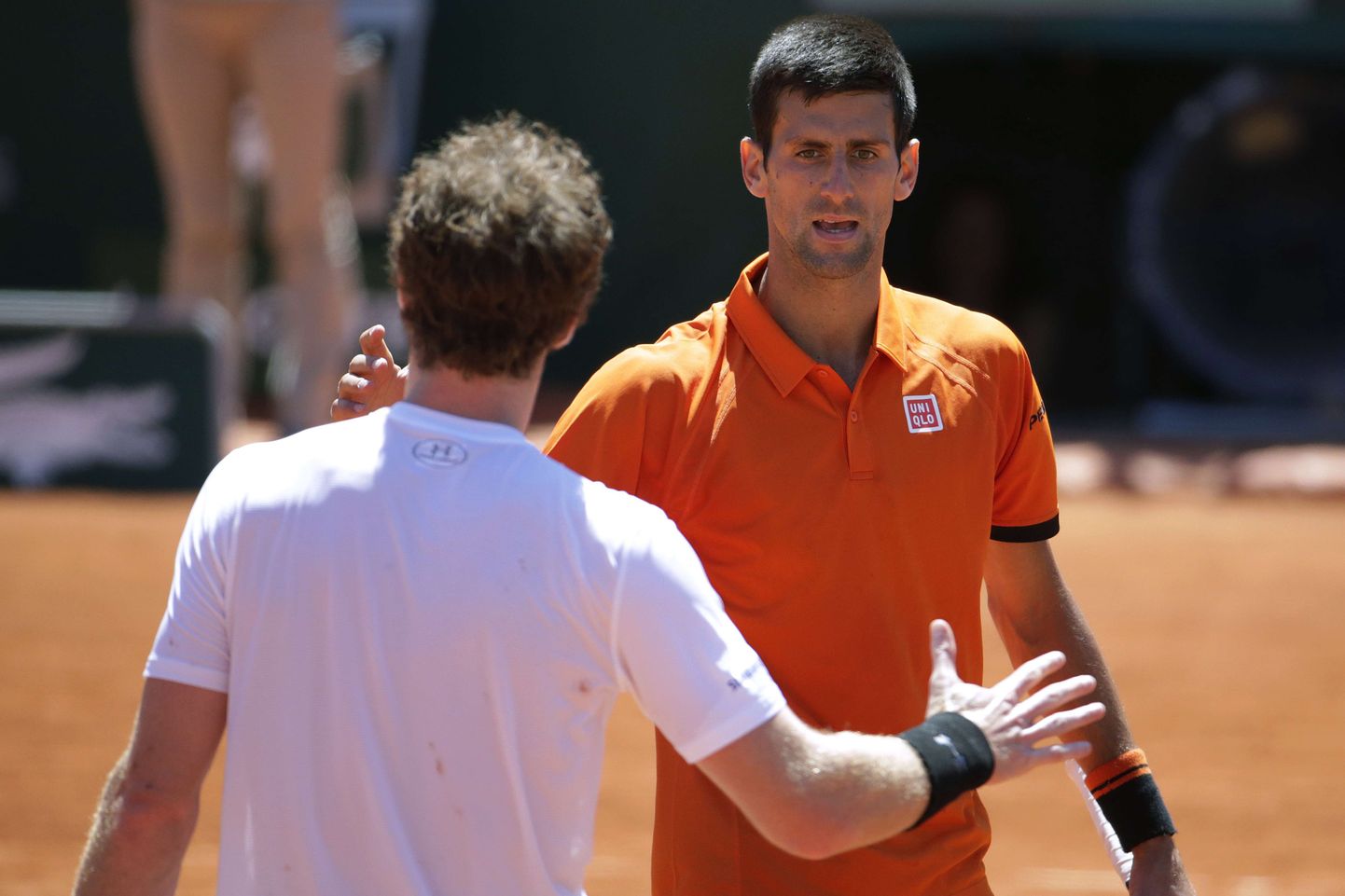 Andy Murray ja Novak Djokovic (paremal).