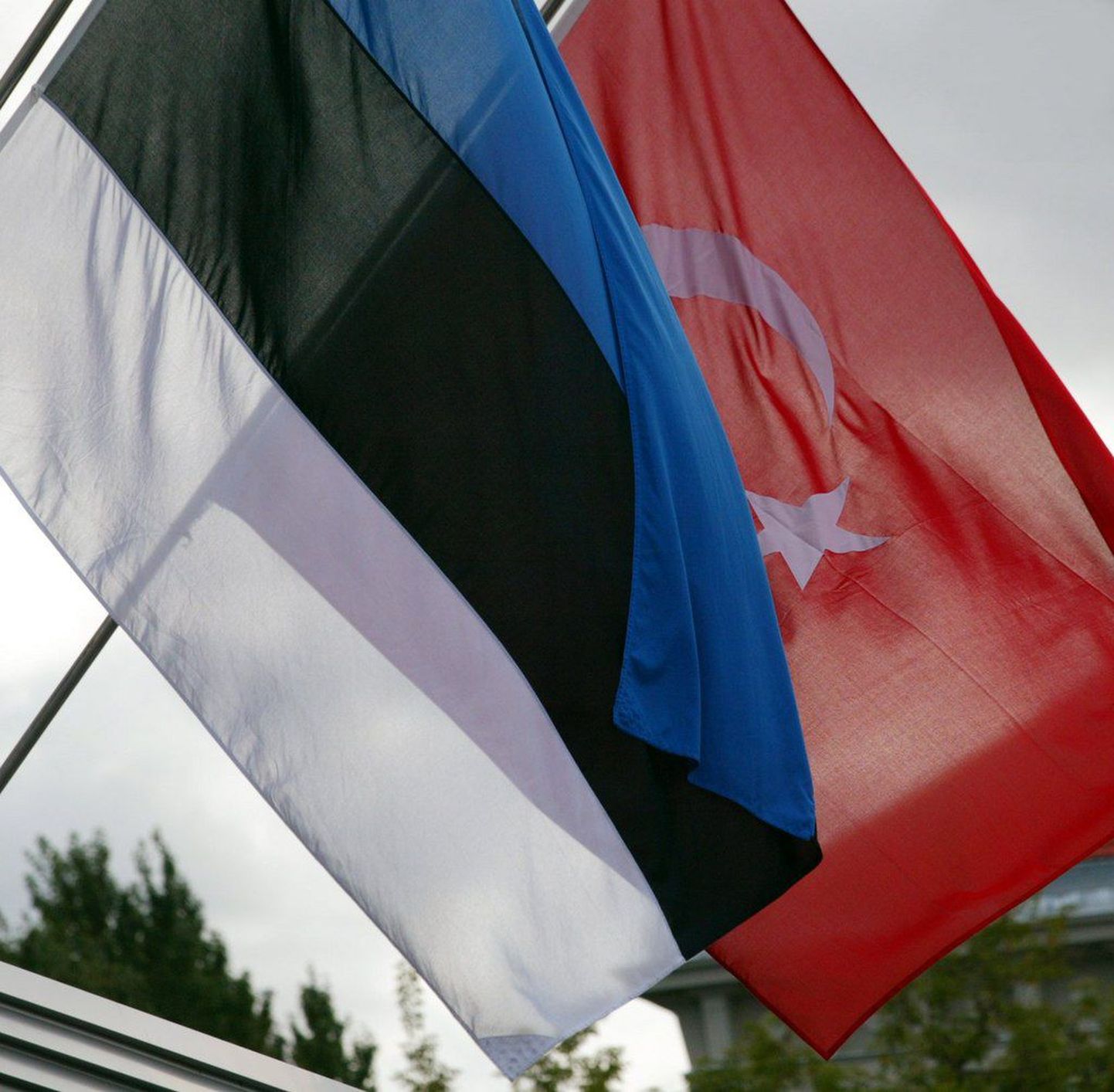 Флаги Эстонии и Турции.