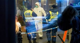 Metropol shooter a criminal rogue