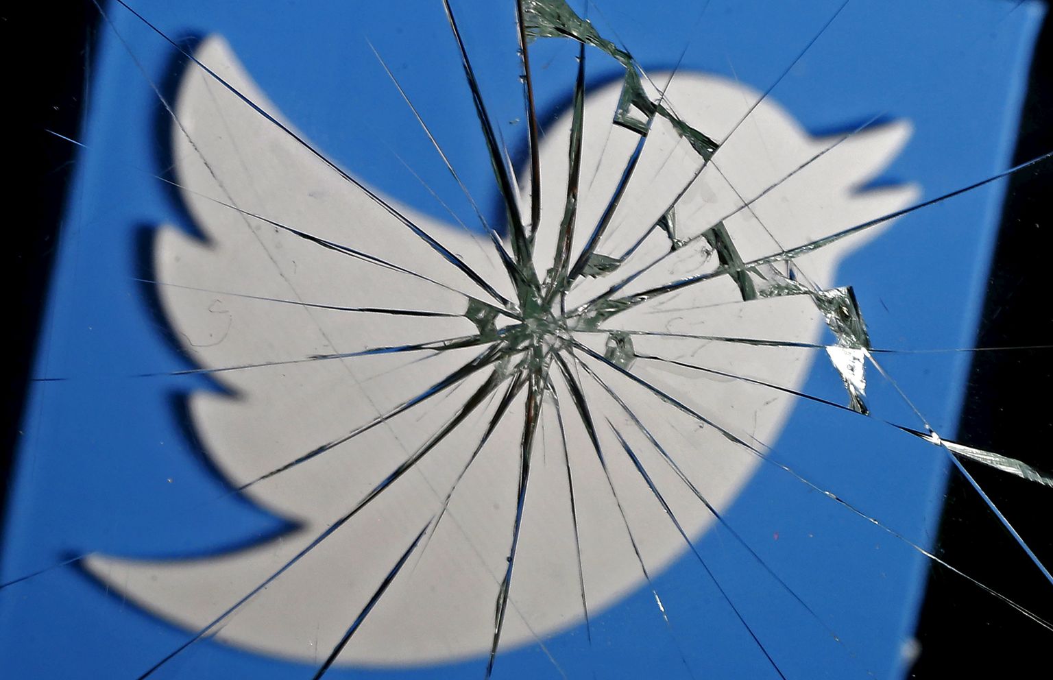 Twitterist on saanud propagandafarmide toiduahela lahutamatu tööriist