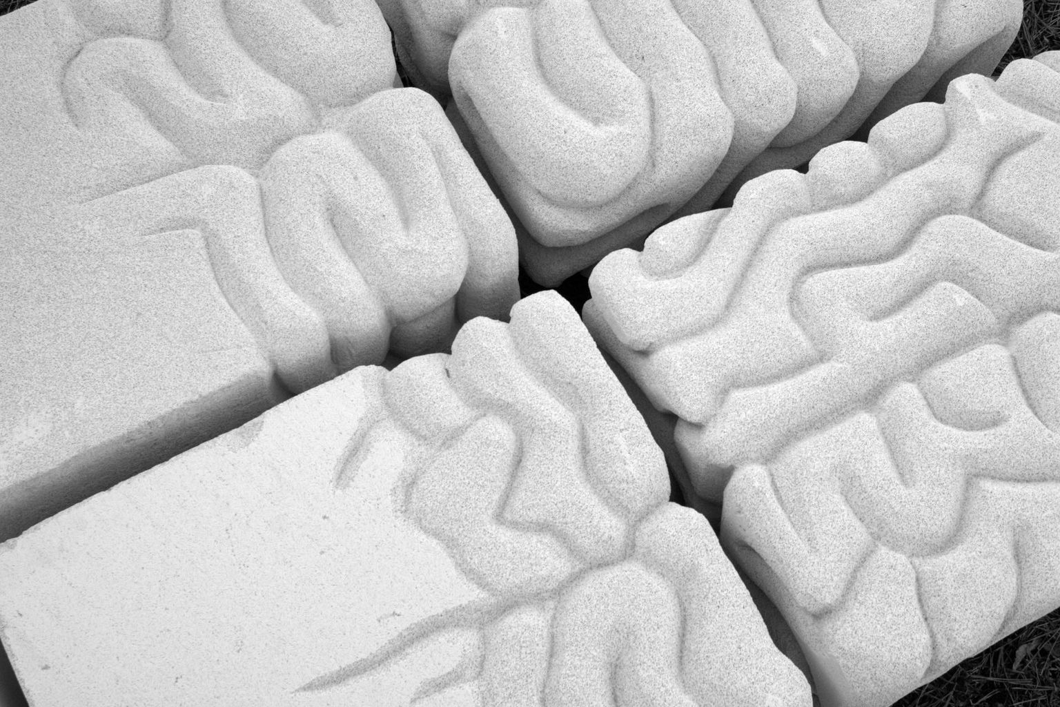 Fragment teosest “Aju”.