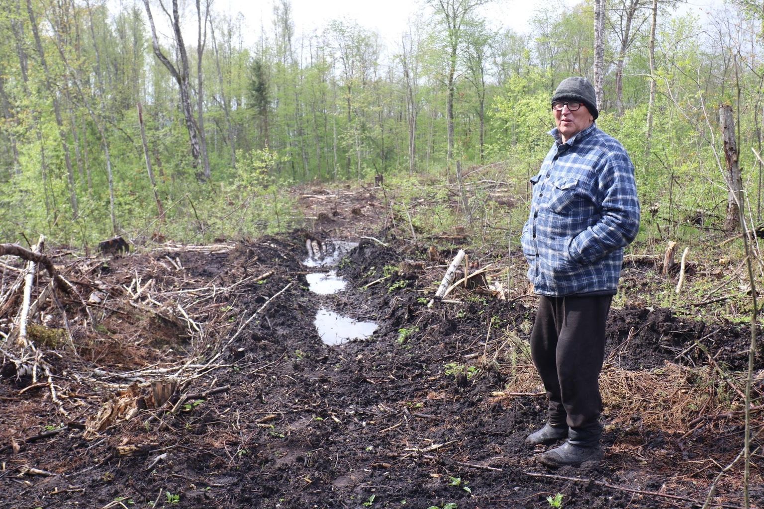 «Liha-supist-välja» Tiit Lepa metsas. Ainuüksi kasutusvaldaja tekitatud roobaste silumine maksaks Lepa hinnangul samapalju, kui ta tehingust tulu sai.