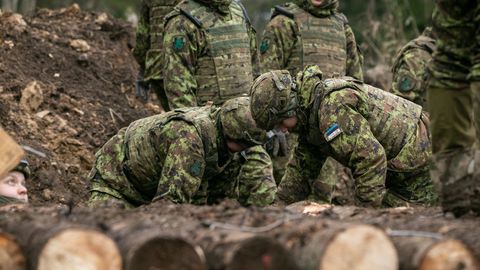 Фото: rus.postimees.ee