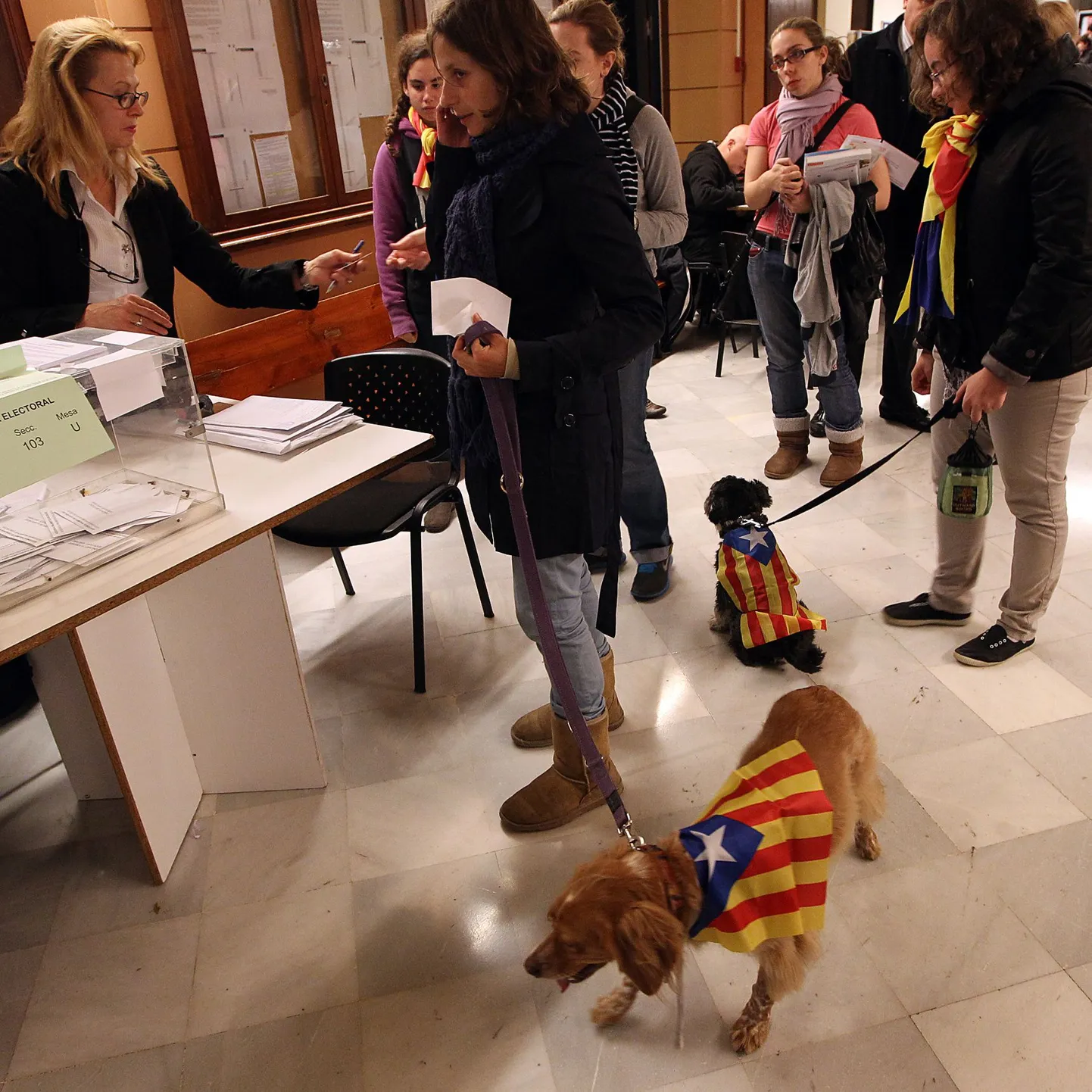 В пока еще испанской Каталонии каждая собака в курсе споров о независимости.