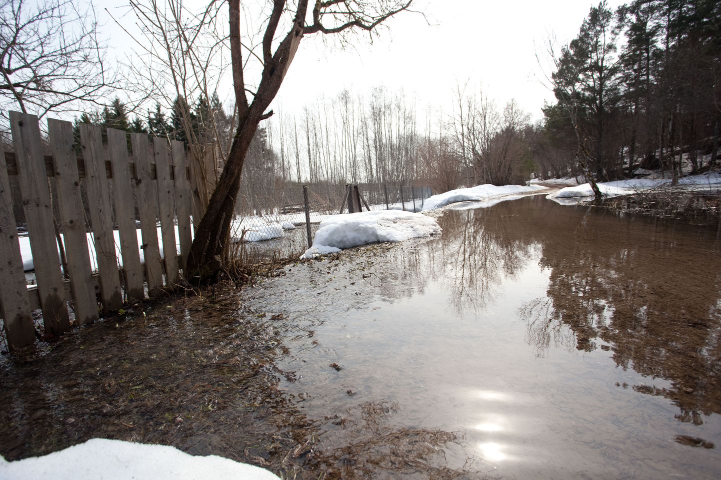 Rohke lumi tõotab kevadeks üleujutusi.