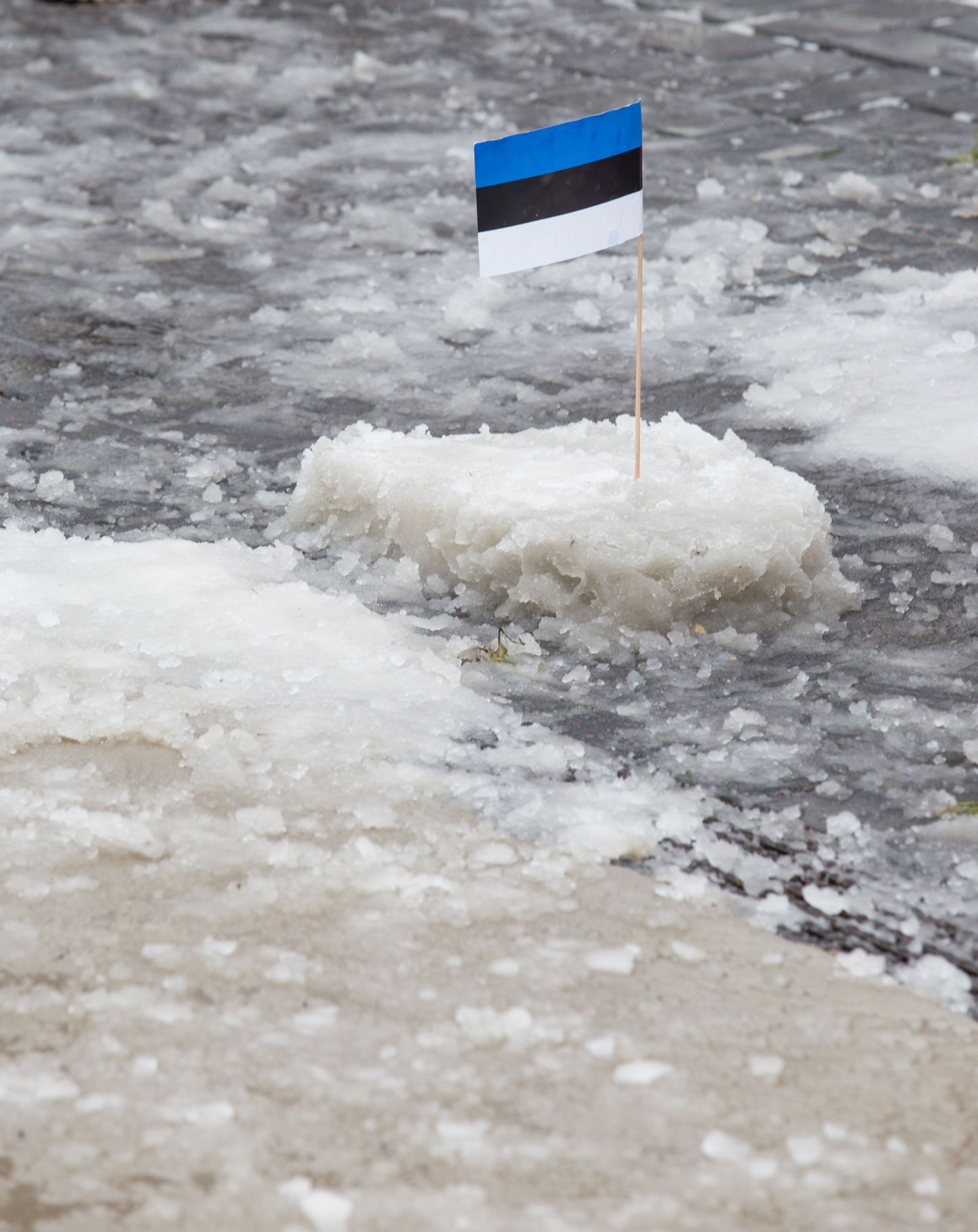 Eesti Vabariigi 98. aastapäeval lund ei olnud, küll aga oli jää.