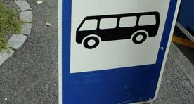 Kontrolörid jätsid vanamemme maantee äärde