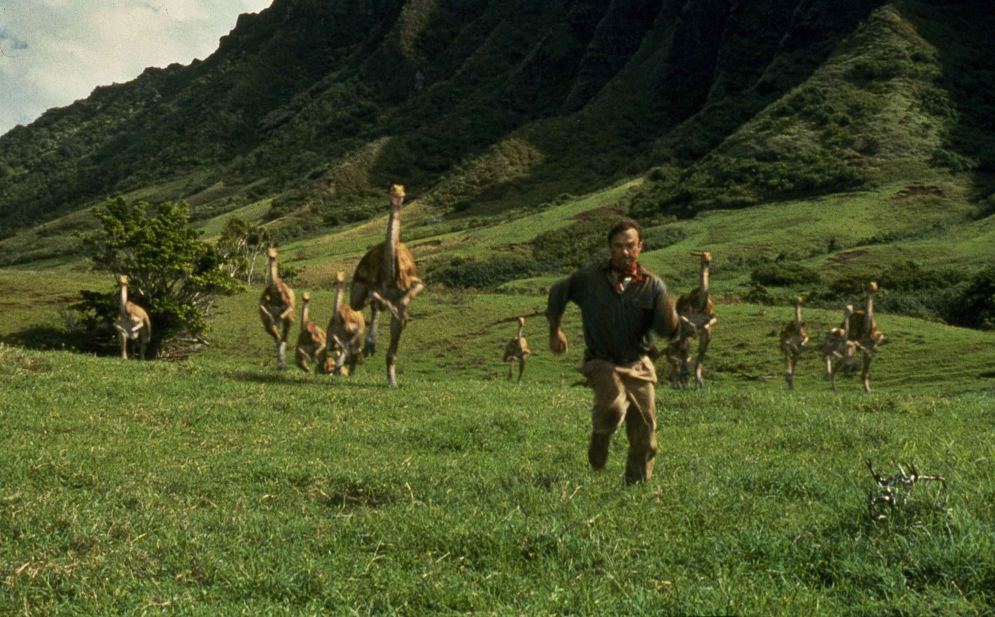 Kreatsionistid õpetavad lastele, et inimesed ja hiidsisalikud elasid koos  Kaader 1993. aatsa filmist «Jurassic Park».