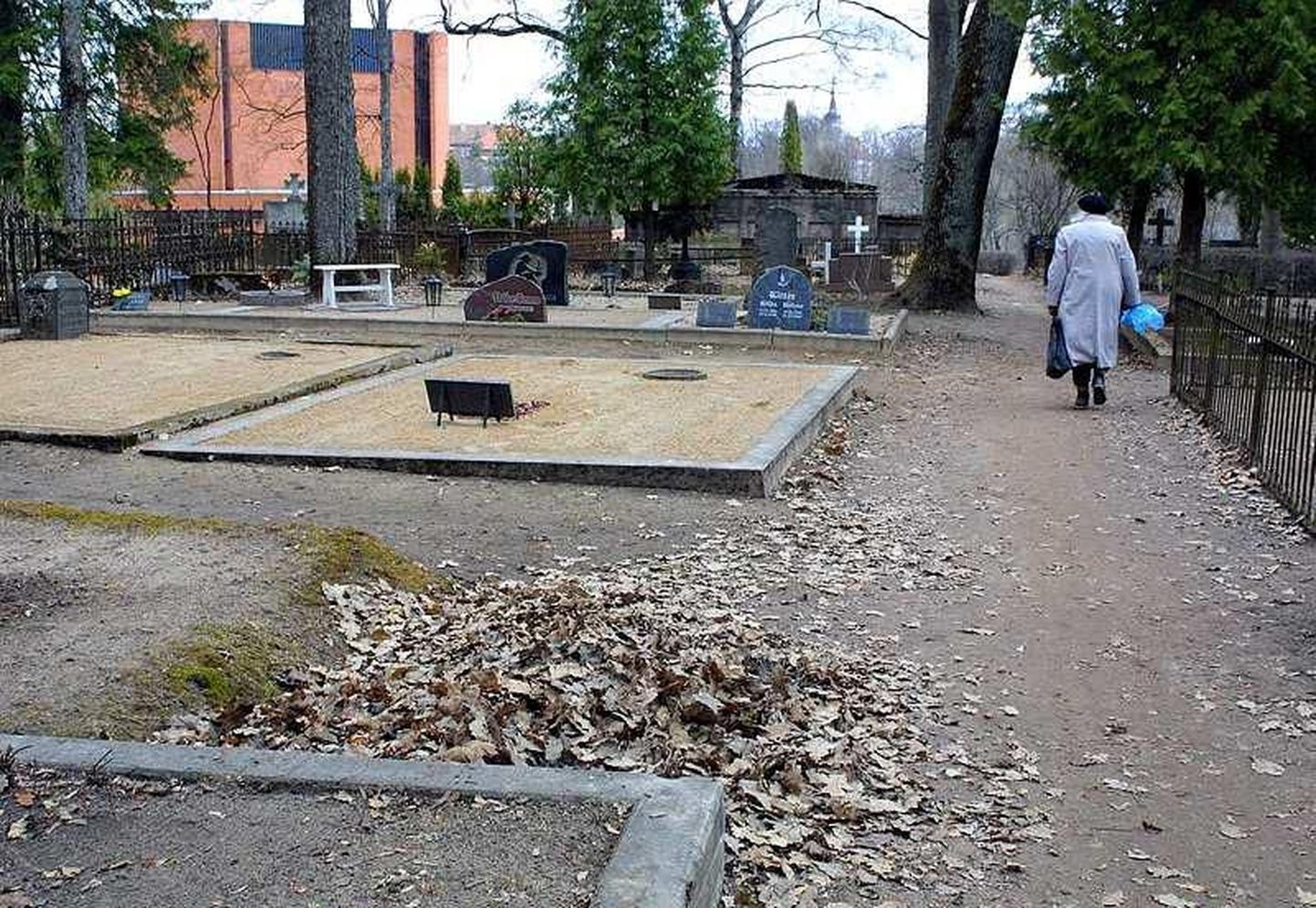 Viljandimaa muinsuskaitse ühendus korraldab talgud Viljandi Vanal kalmistul.