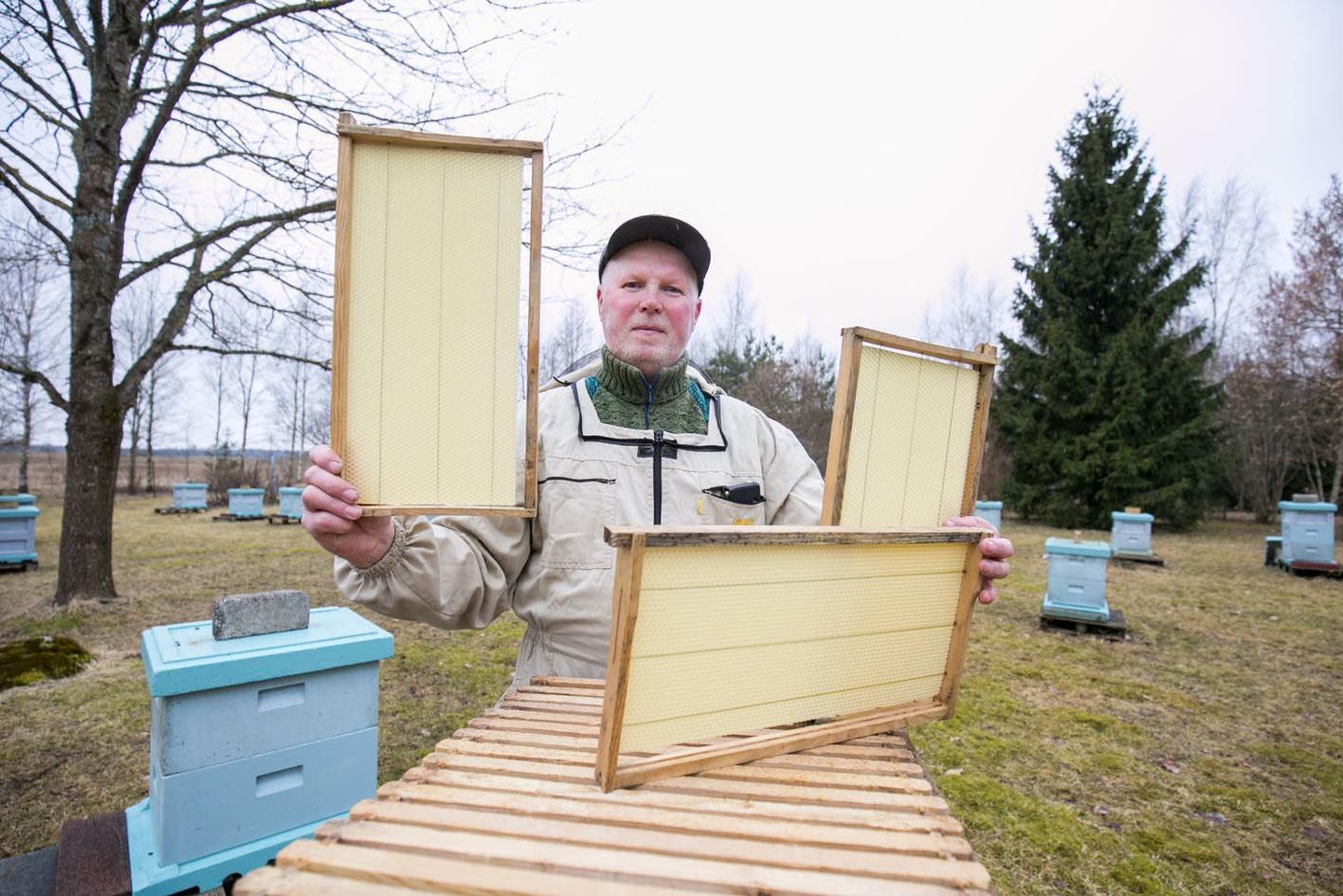 Aastakümneid Koeru vallas mesinikuna tegutsenud Lembit Liin näitab tarudesse pandavaid kärgi, mida mahub ühte tarusse kümme. See on üks töödest, mida mesinik peab jõudma ära teha enne mesila välihooaja algust.