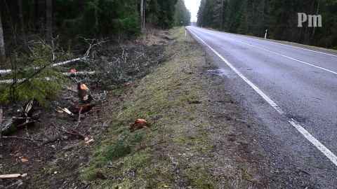 ����: rus.postimees.ee