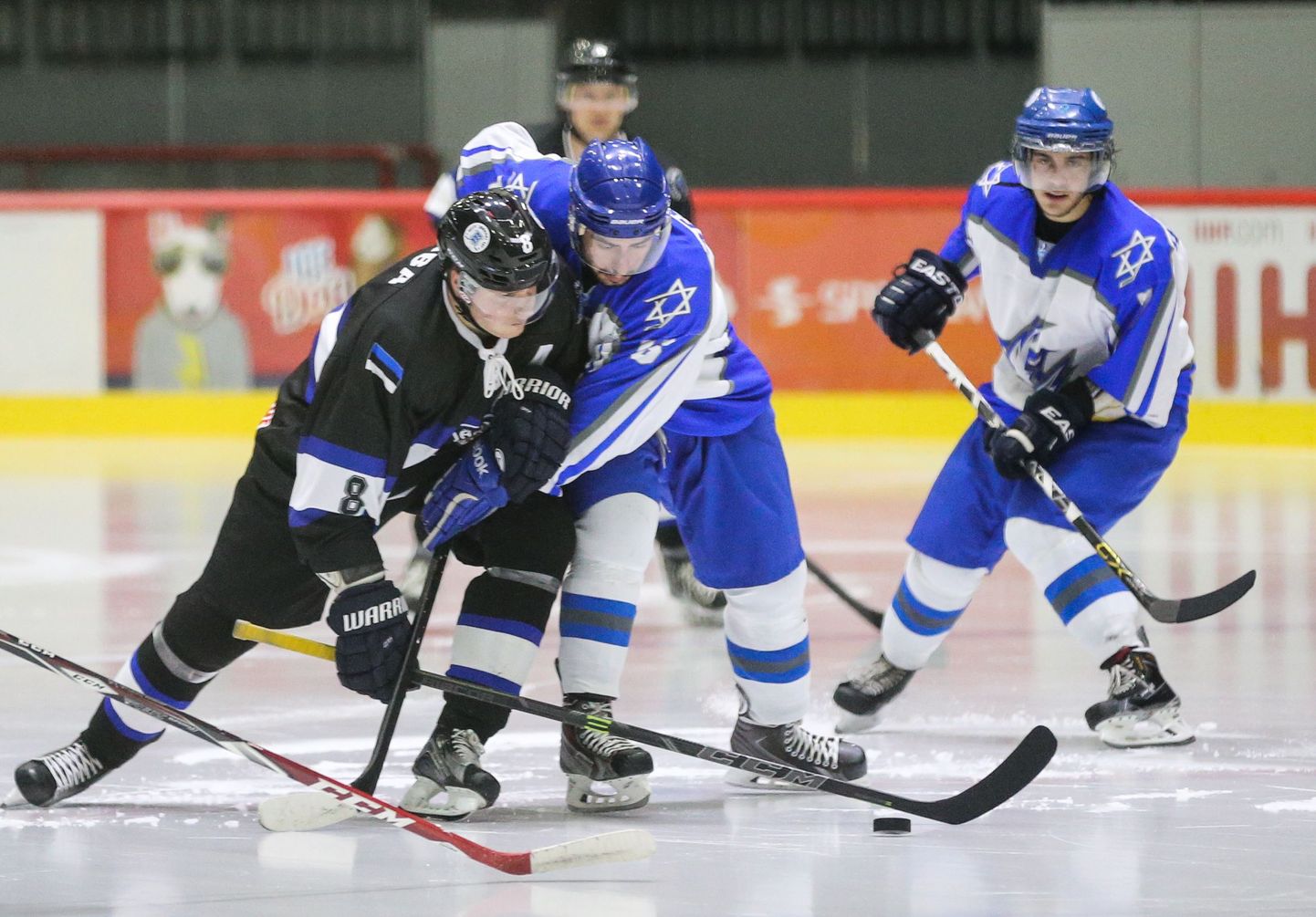 Нападающий сборной Эстонии Роберт Рооба обыгрывает хоккеистов Израиля.