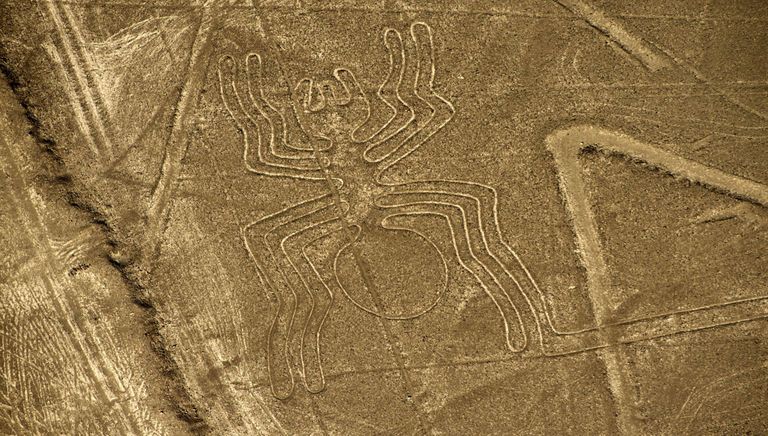 Nazca geoglüüfid, pildil ämblik