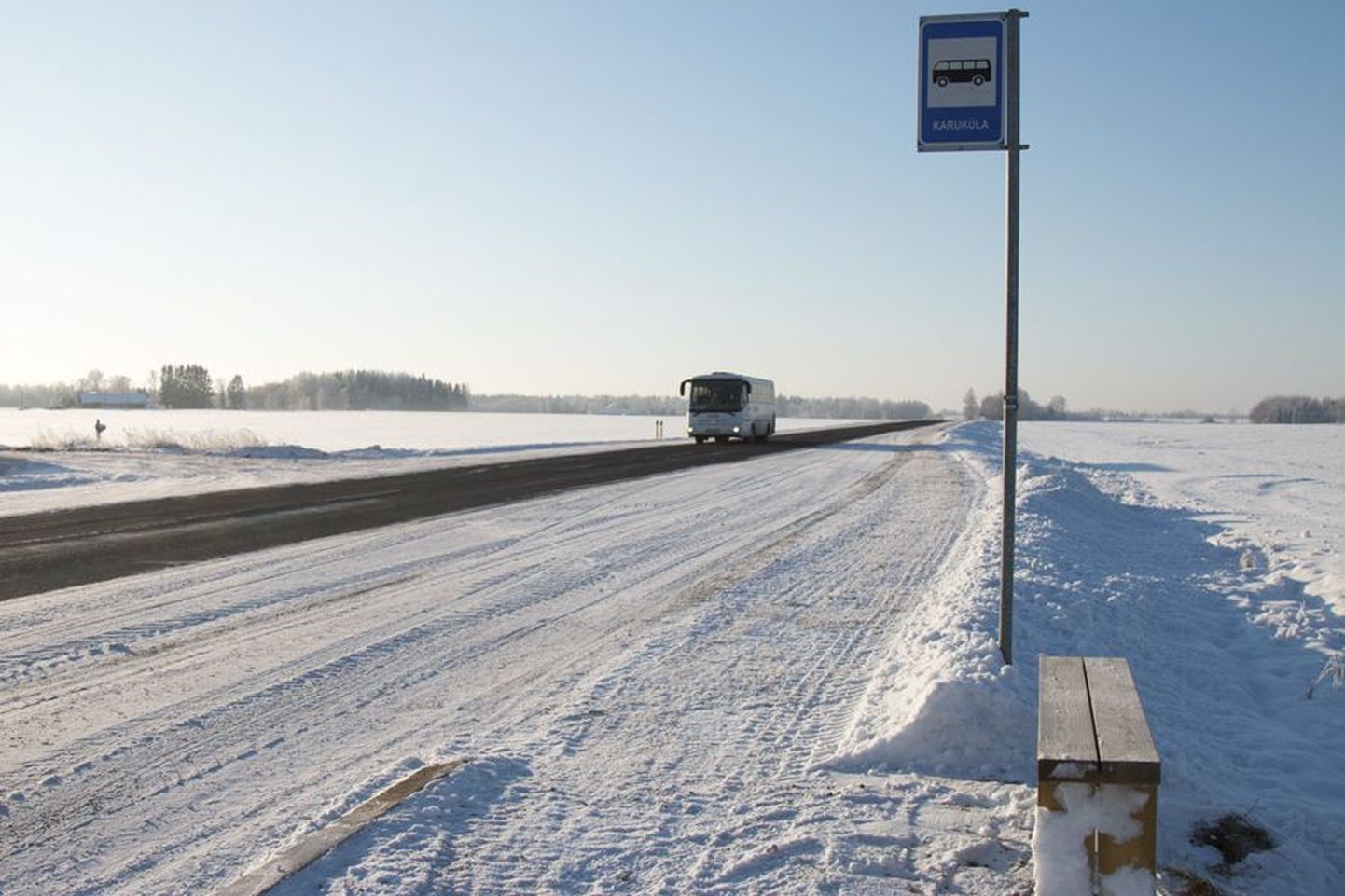 Nii nagu paljudel teistel Viljandimaa omavalitsustel soovitas kohanimenõukogu ka Halliste vallal mõne bussipeatuse nime muuta. Tootsi külas asuva Karuküla bussipeatuse nimi jäeti siiski samaks, sest just see on rahva mällu talletunud.