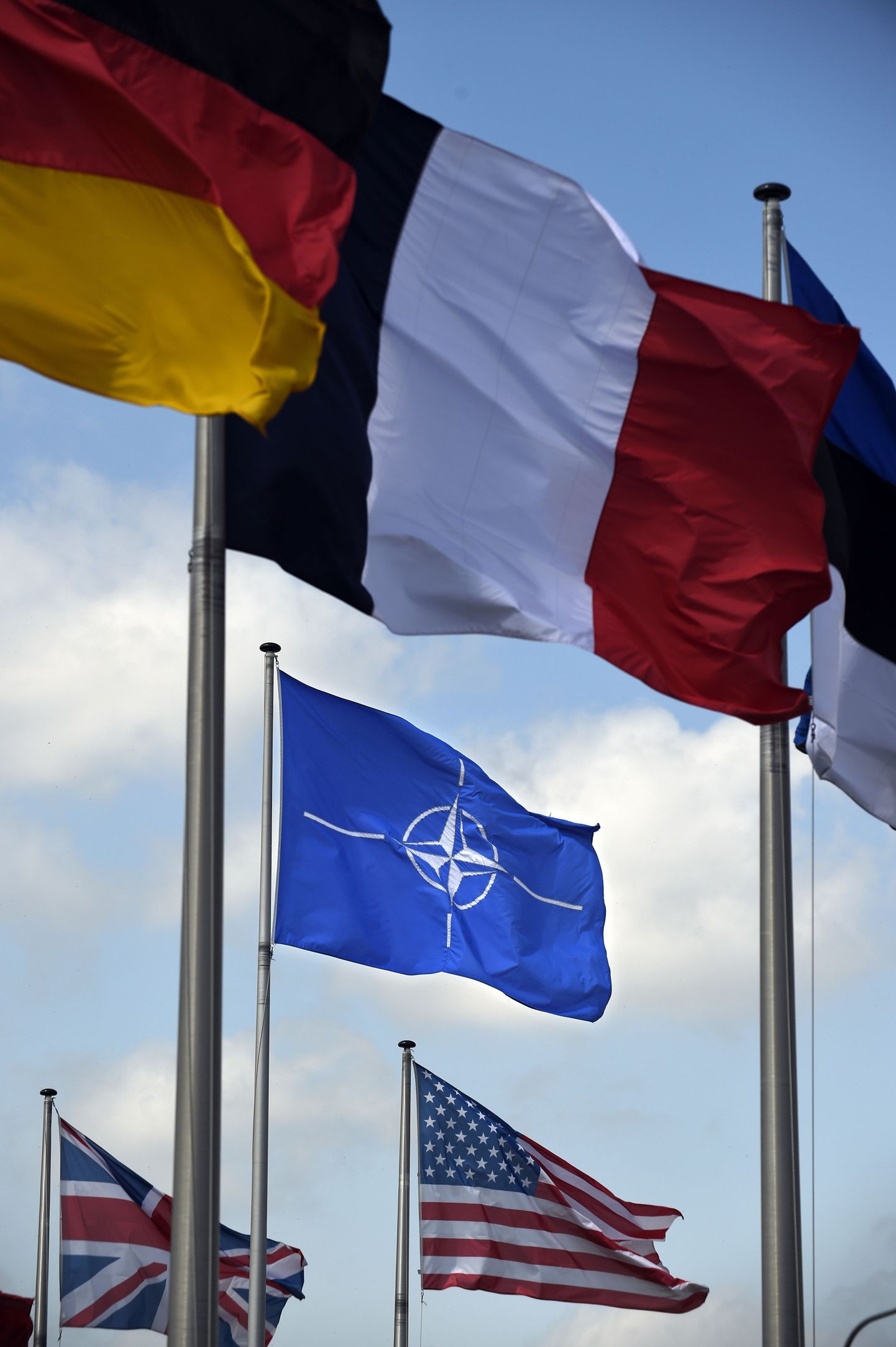 Флаги НАТО и стран-членов альянса.