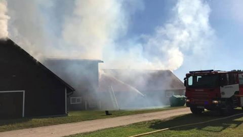 ����: rus.postimees.ee