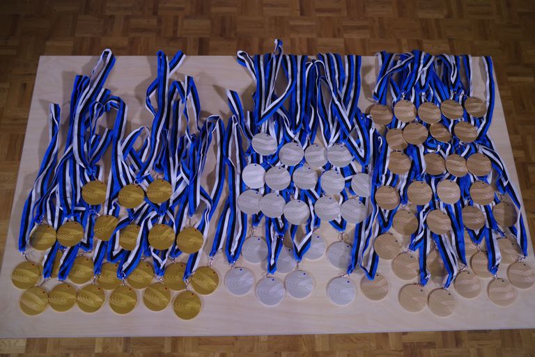 Euroopa füüsikaolümpiaadi kolme karva medalid.