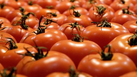 ����: rus.postimees.ee