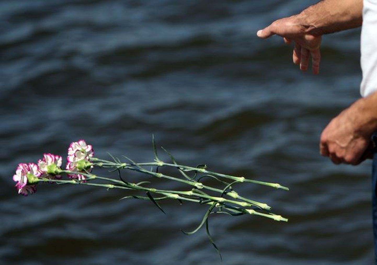 С начала года в водоемах Эстонии утонул 61 человек.