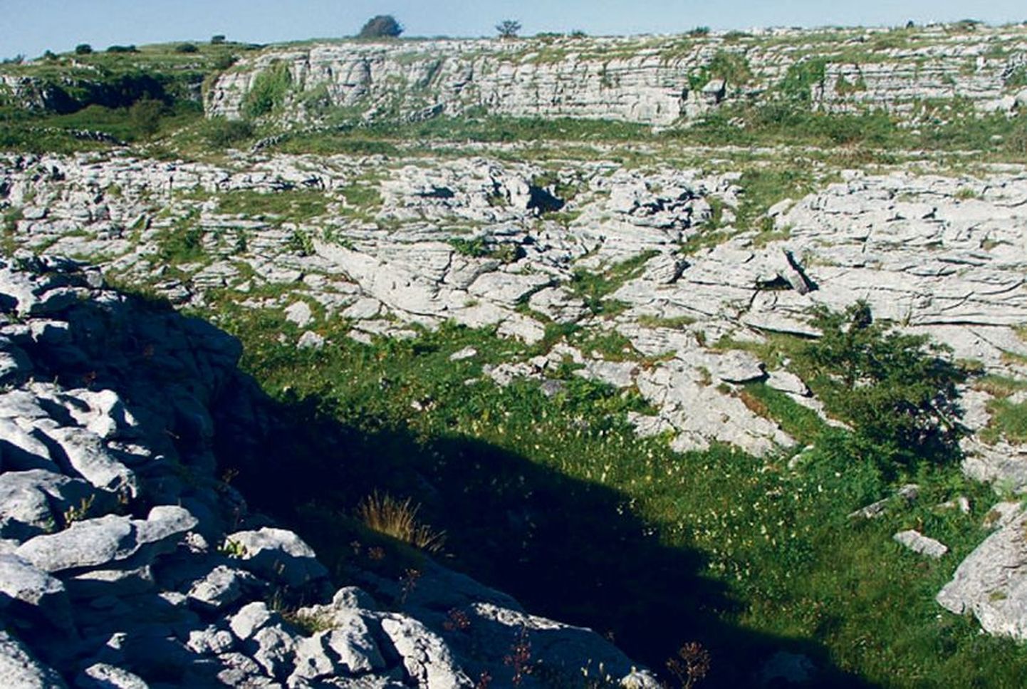 Iirimaa lääneosas umbes 520 ruutkilomeetril Clare’i maakonnas laiutab kuumaastikuks ristitud Burren, kuhu liustikud ja aastatepikkune erosioon on loonud lubjakivist sillutise.