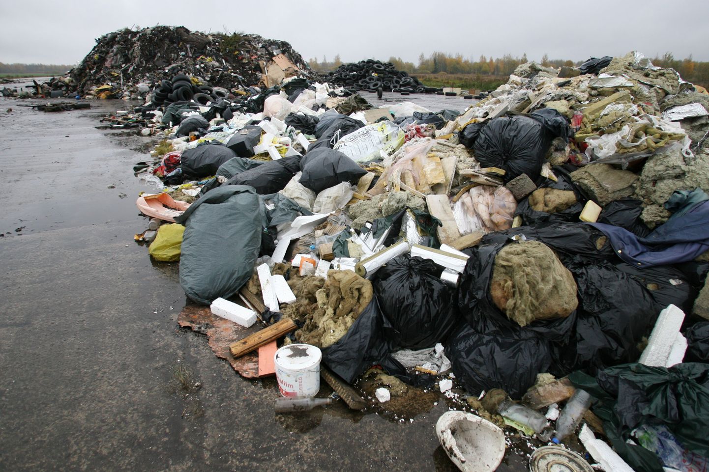 Koristusaktsiooni «Teeme ära!» raames 2008. aastal kogutud jäätmed Tartu linna külje all Raadi lennuväljal.