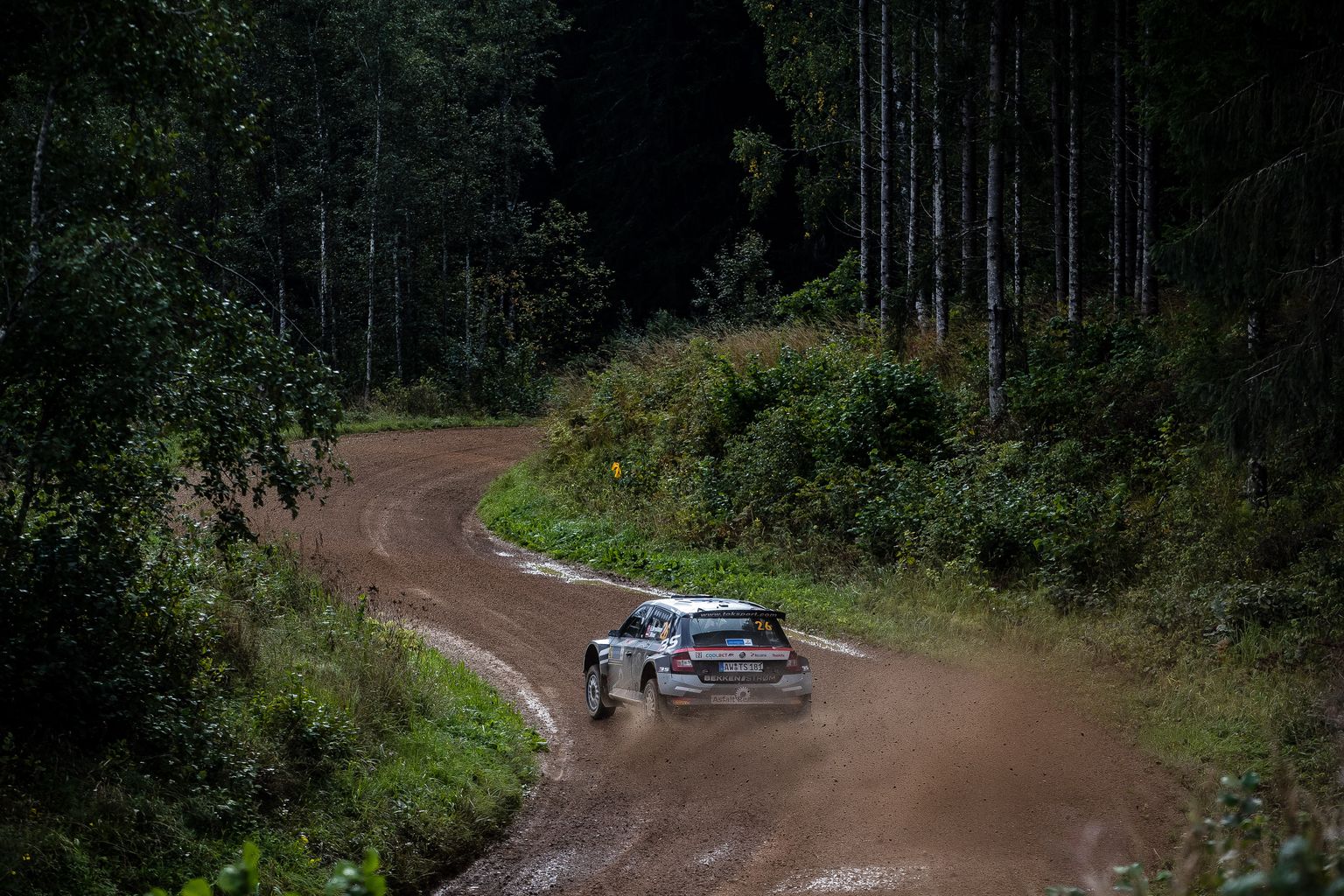 Тестовый заезд Rally Estonia.