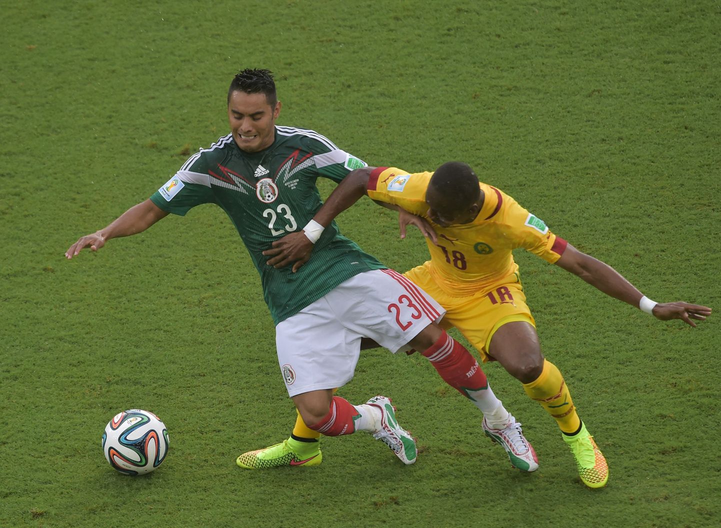 Момент матча Мексика (зеленые футболки) - Камерун.