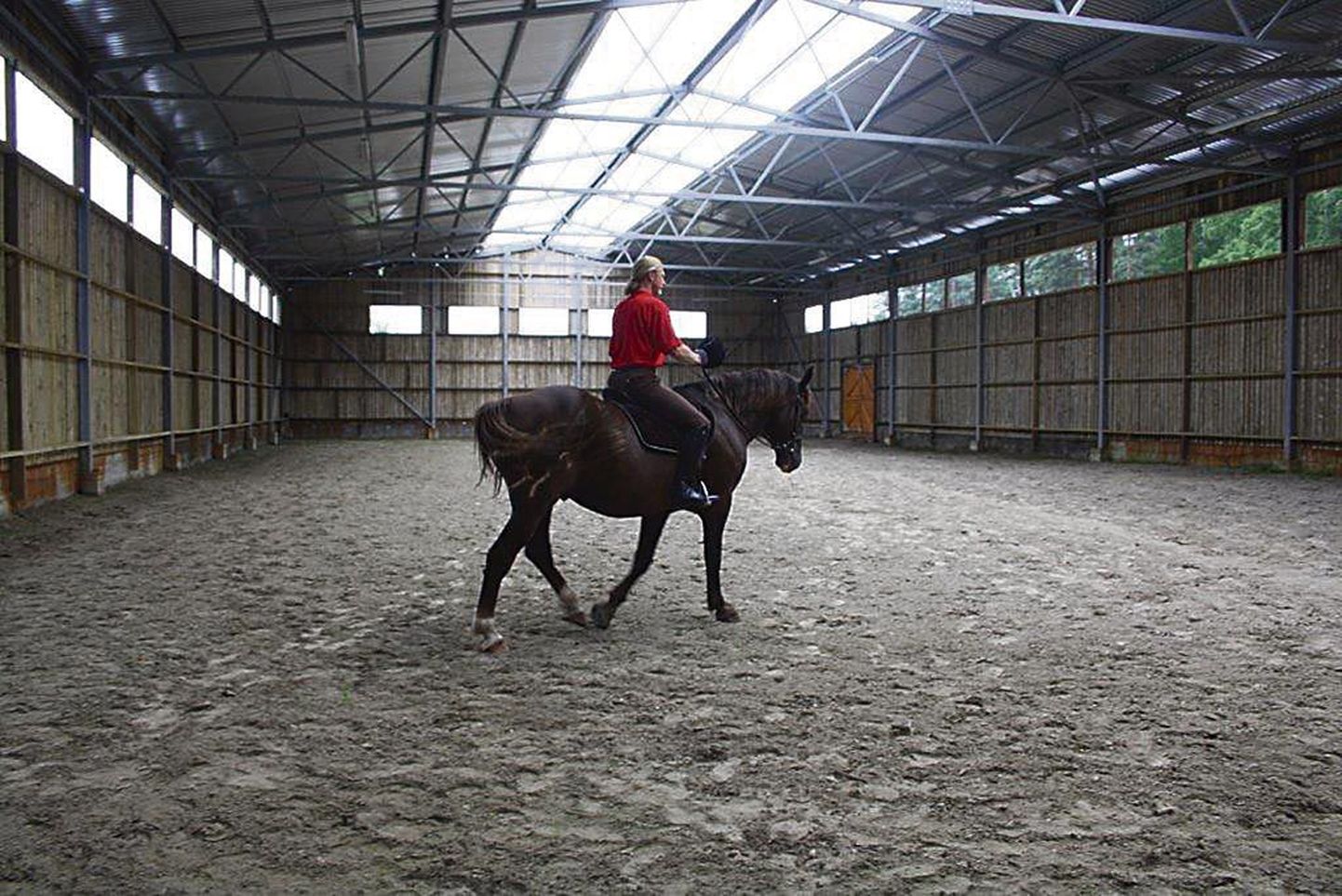 Maria talu peremees Enn Rand Miku nime kandva hobusega uut ratsamaneeži proovimas.