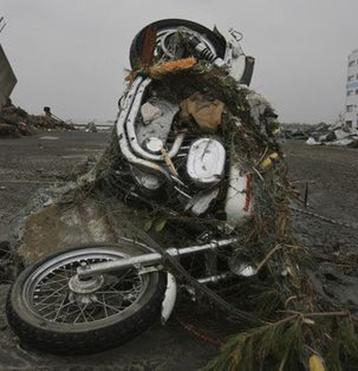 Kanadast leiti tsunami poolt merre paisatud Jaapani mootorratas
