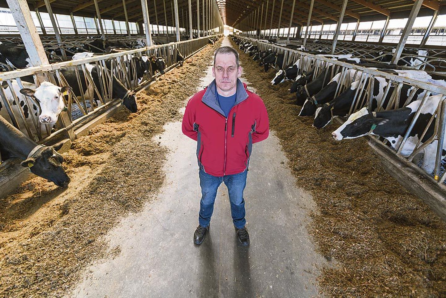 Halinga OÜ piimafarmi omanik Raul Peetson leiab, et võlaprobleemid ei saa vajalikku tähelepanu, sest kohtu kaudu on vaja võidelda “omadega”.