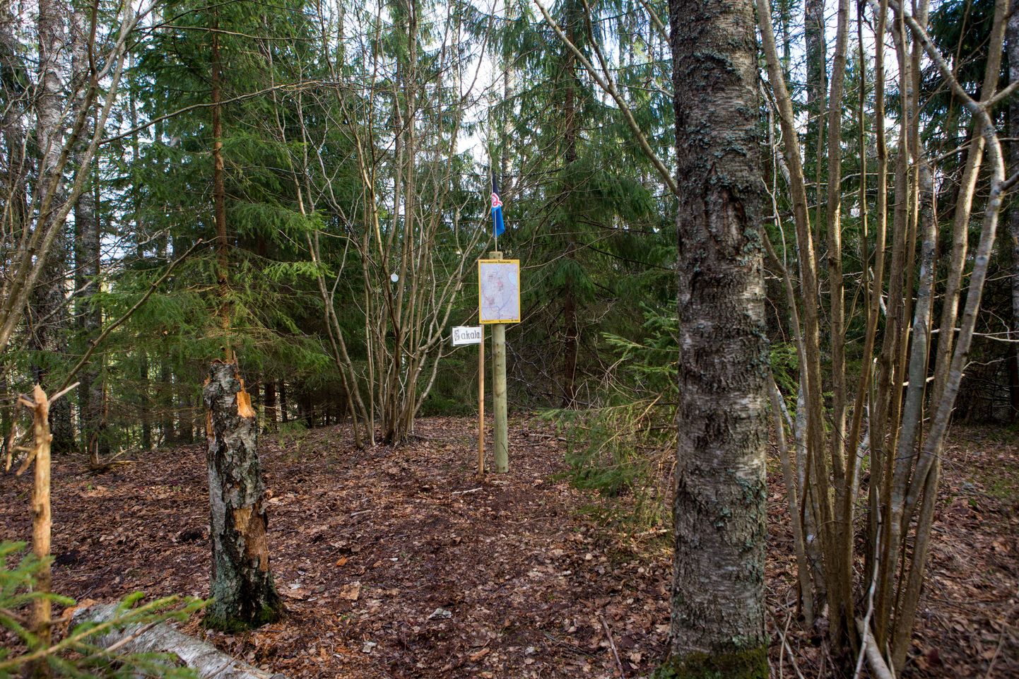 Viljandimaa kõige kõrgem koht, Karksi vallas Sudiste külas asuva Härjassaare mäe tipp. Kõrgus merepinnast: 146,6 meetrit.