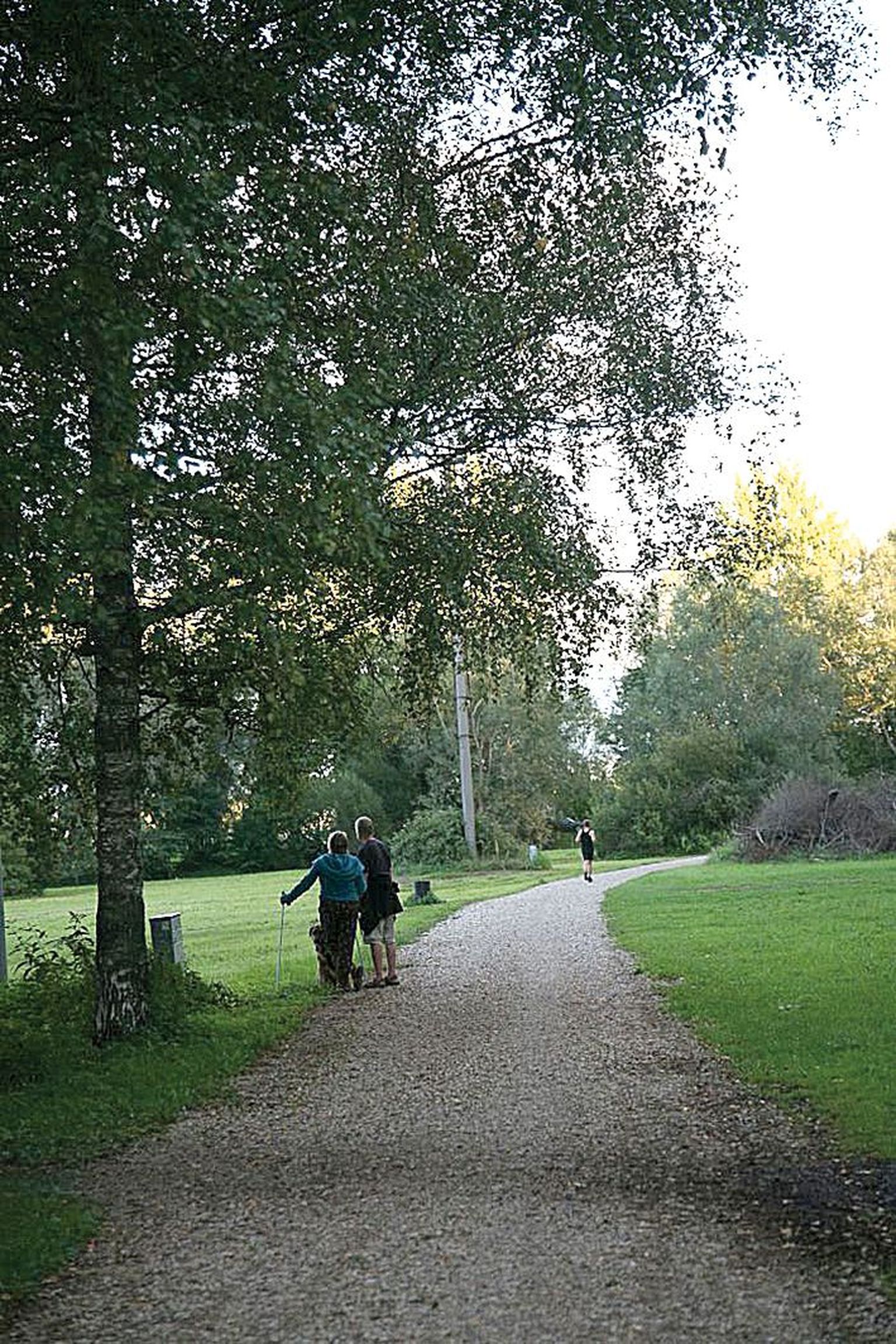 Üks idee on aasta läbi kasutatava mitmeotstarbelise spordipargi rajamine dendroparki.