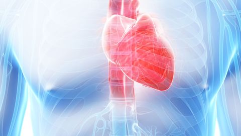 Фото: rus.postimees.ee