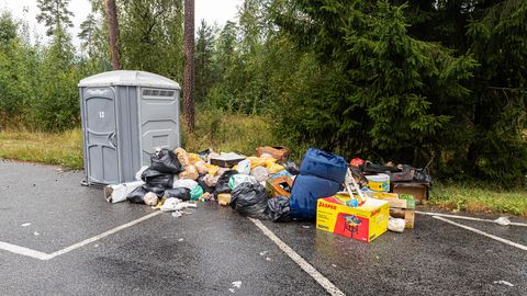 HÄIRIVAD FOTOD ⟩ Koorem s...a ja «miinid» peldiku kõrval: pilk Tallinna–Narva maantee räpasesse reaalsusse