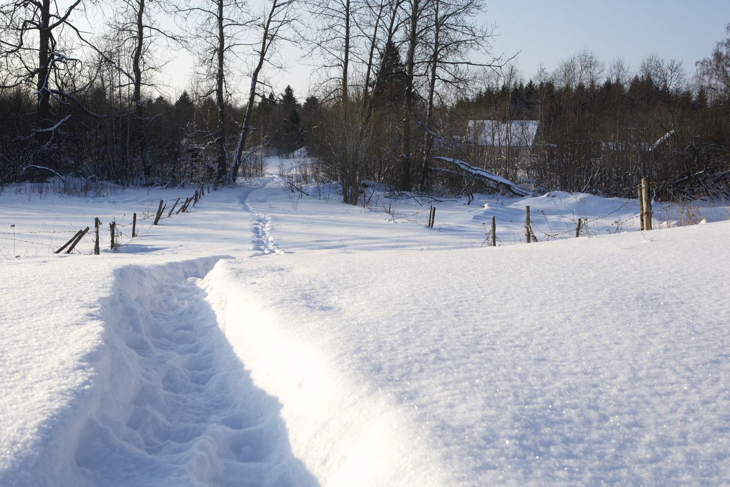 Lumerekord pärineb aastast 2010, kui Sõmeru vallas Sämi külas mõõdeti lume paksuseks 63 sentimeetrit.