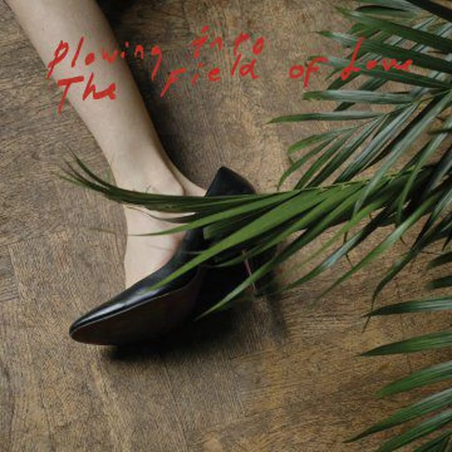 Iceage-Plowing Into the Field of Love