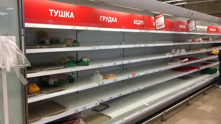 Фото статьи