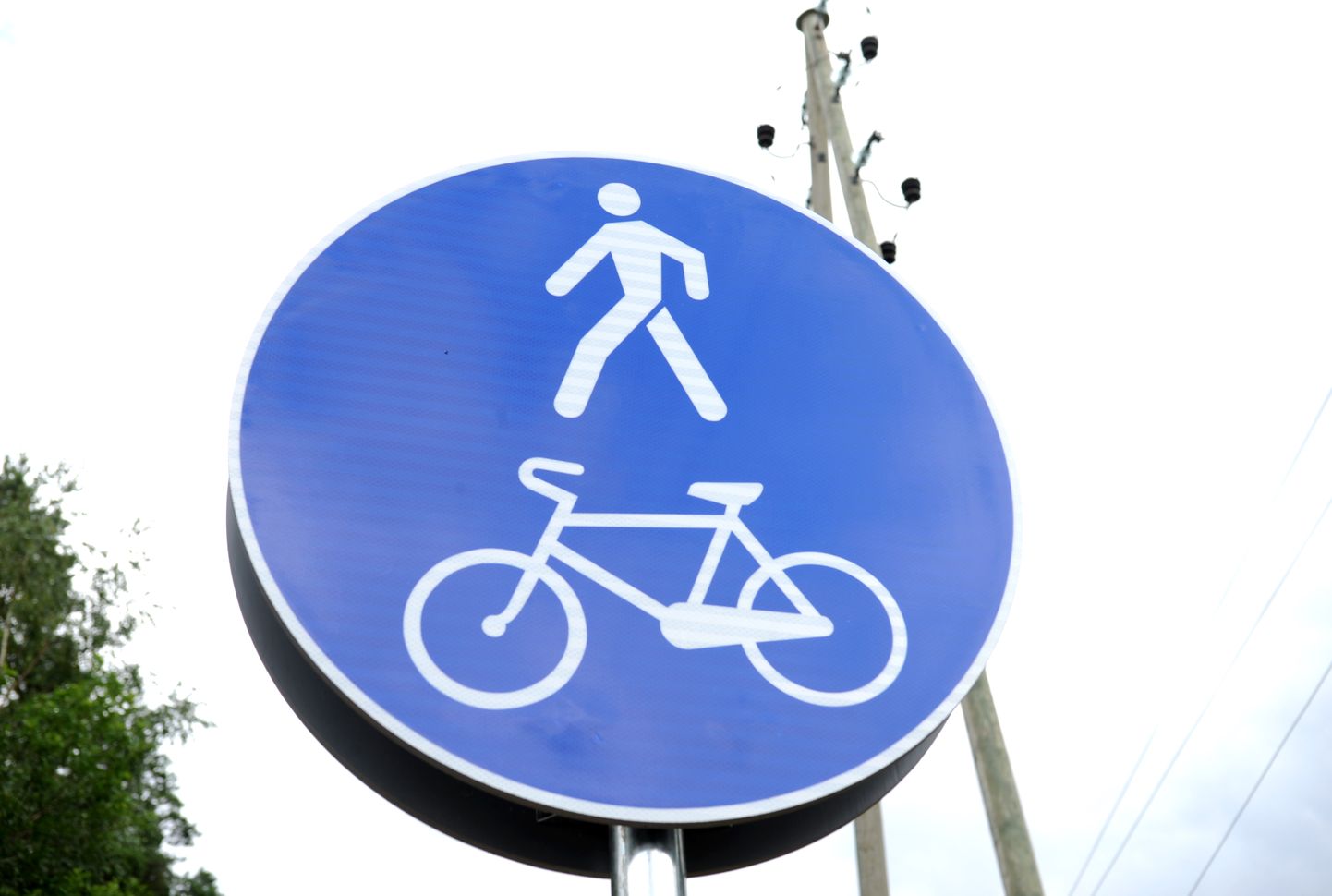 Знак "Велосипедная дорожка"