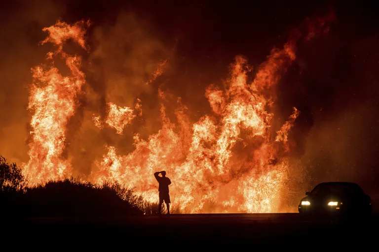 Metsatulekahju Californias.