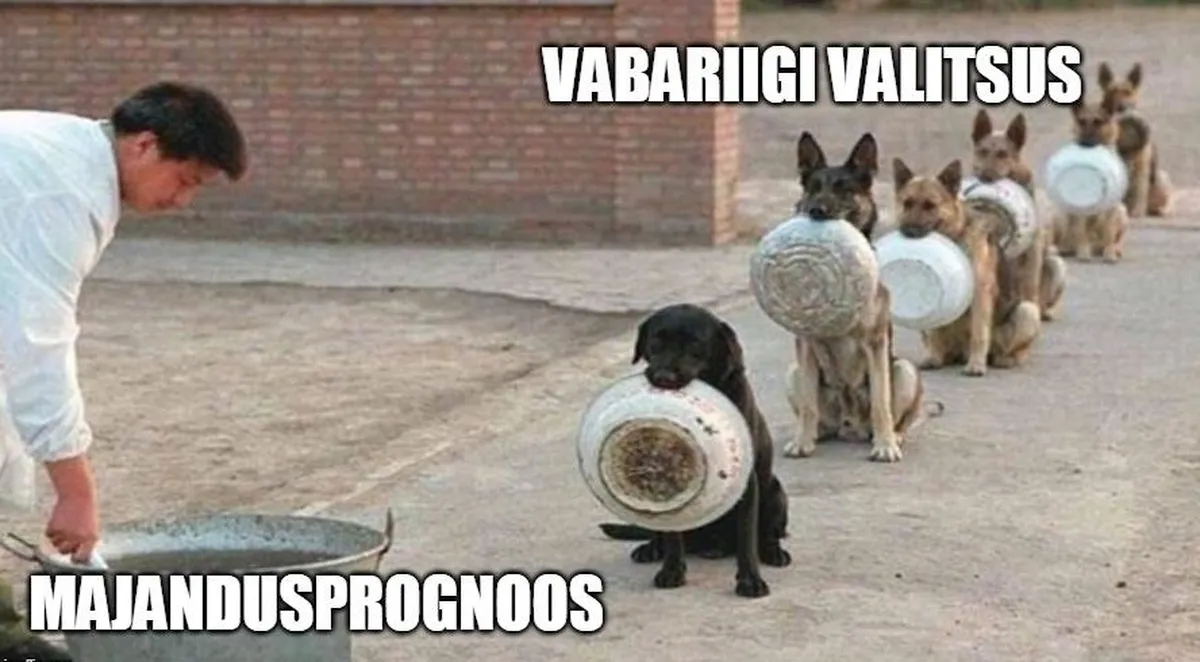 Artikli foto